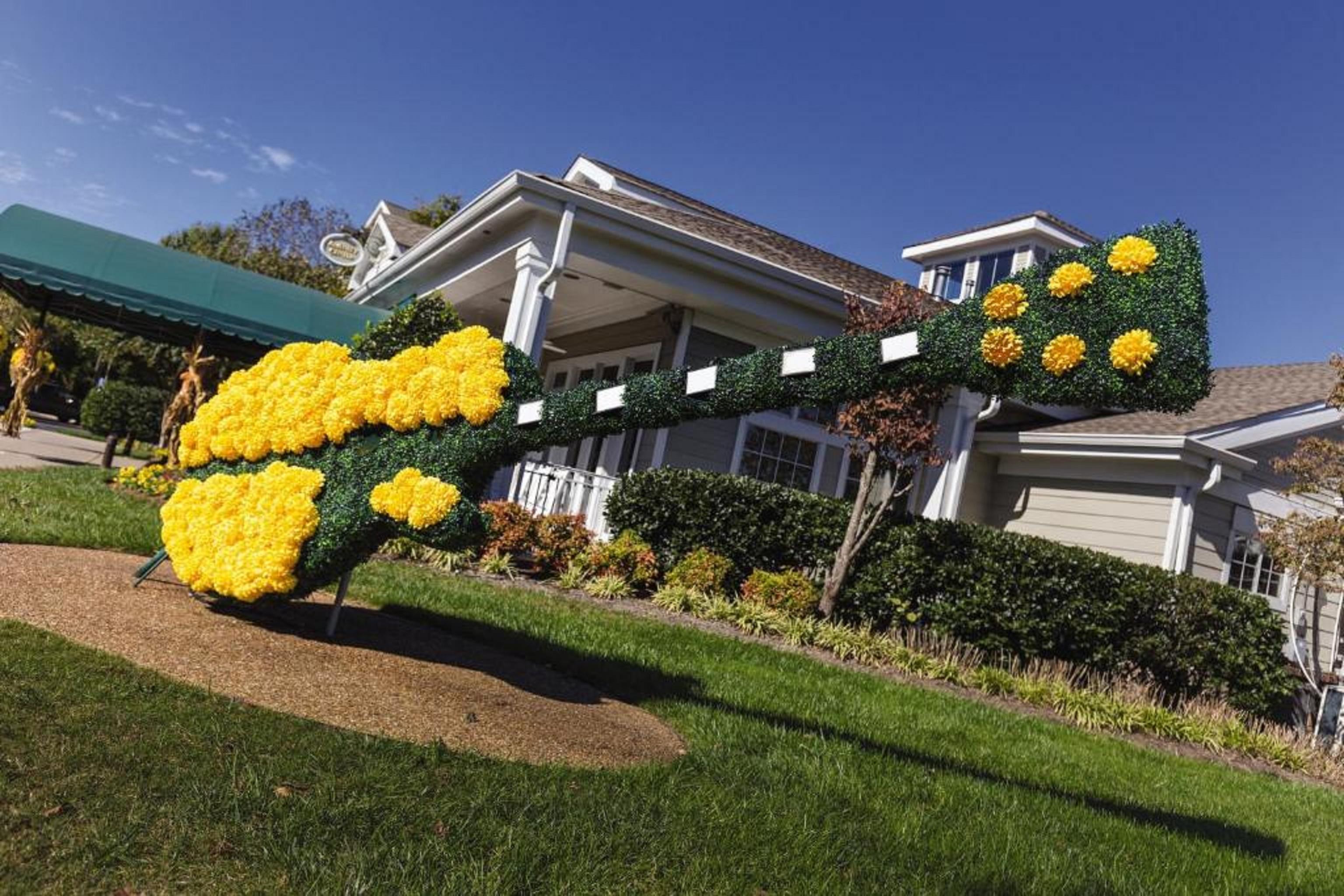 Club Wyndham Nashville Bagian luar foto